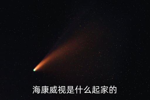 ?？低暿裁磿r(shí)候上市的，海康威視是上海證券交易所上市嗎