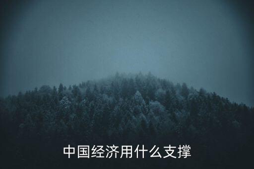 中國(guó)經(jīng)濟(jì)靠什么支撐，中國(guó)經(jīng)濟(jì)現(xiàn)在到底靠什么來(lái)支撐呢