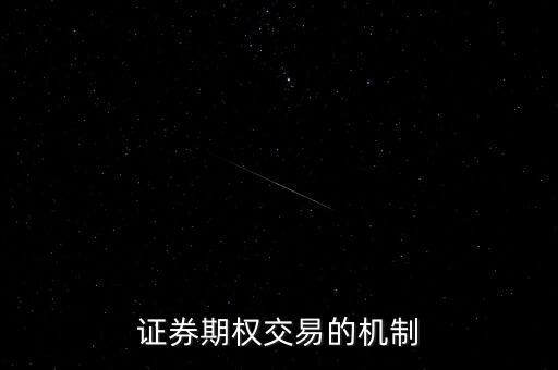 證券期權交易的機制