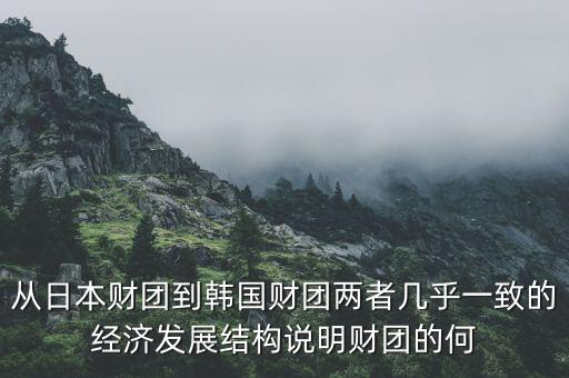 從日本財團到韓國財團兩者幾乎一致的經(jīng)濟發(fā)展結構說明財團的何