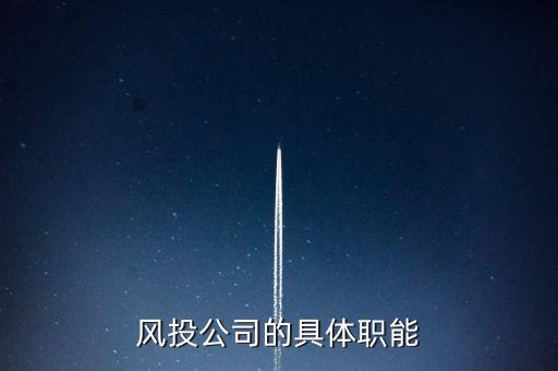風險投資公司是做什么的，風險投資公司是干什么的謝謝