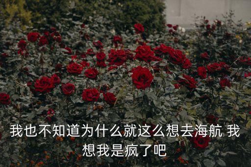 為什么想進(jìn)海航實(shí)業(yè)，我也不知道為什么就這么想去海航 我想我是瘋了吧