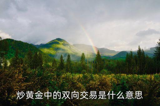 貴金屬雙向交易什么意思，貴金屬雙向交易是什么意思