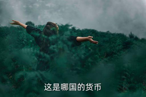 這是哪國(guó)的貨幣