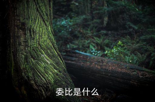 什么是委比指標(biāo)，股票里面的委比是什么意思