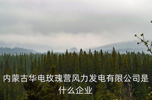內蒙古華電玫瑰營風力發(fā)電有限公司是什么企業(yè)