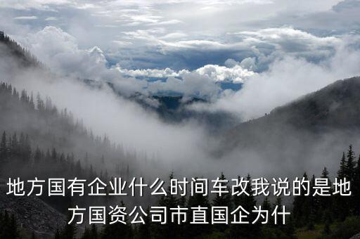 地方國有企業(yè)什么時間車改我說的是地方國資公司市直國企為什