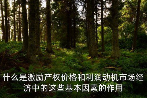 什么是價(jià)格激勵(lì)，什么是股權(quán)激勵(lì)行權(quán)價(jià)格