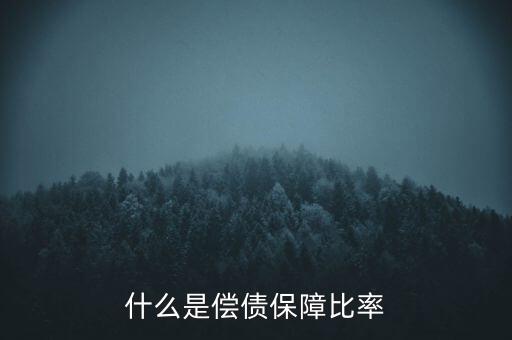 什么是擔保比率，什么是擔保證券折算率