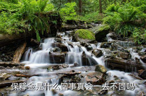 保證金釋放是什么意思，保證金什么意思