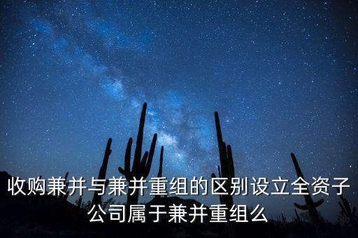 新設(shè)立子公司算什么合并，新設(shè)立1全資子公司算同1控制下合并