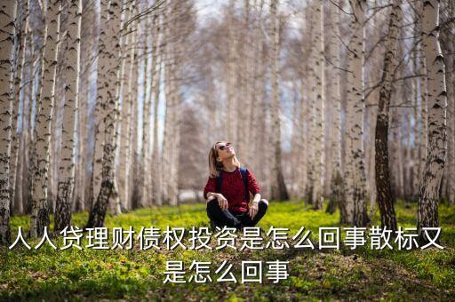 人人貸里投資散標是什么意思，人人貸中散標想放貸款怎能看他們的信譽有的是a有的是e有的是