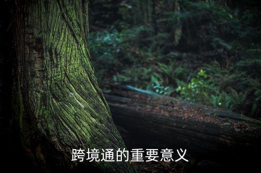 什么是跨境通電子商務(wù)，跨境通方面的優(yōu)勢(shì)在哪里