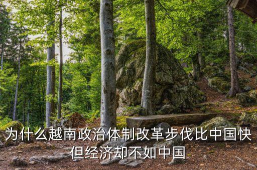 越南為什么改革，越南的政治體制改革有什么借鑒意義