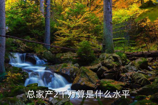 2006年的兩千萬什么概念，總家產(chǎn)2千萬算是什么水平
