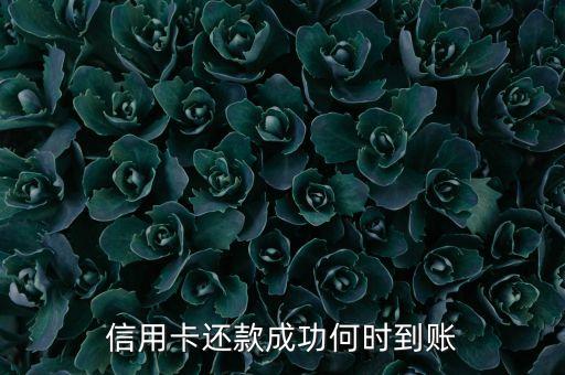 信用卡還款什么時(shí)候到賬，信用卡還款到賬時(shí)間
