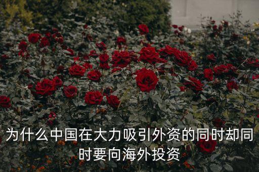 中國為什么在外投資，為什么中國在大力吸引外資的同時(shí)卻同時(shí)要向海外投資