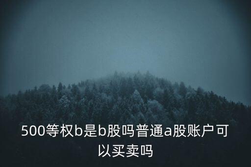 500等權(quán)是什么，500等權(quán)b是b股嗎普通a股賬戶可以買賣嗎