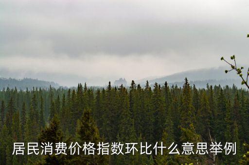 居民消費價格指數(shù)環(huán)比什么意思舉例