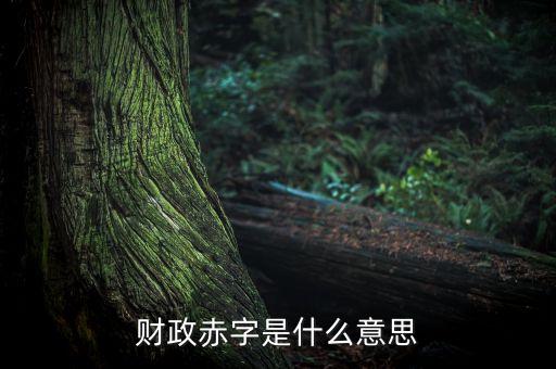 財政赤字是什么意思