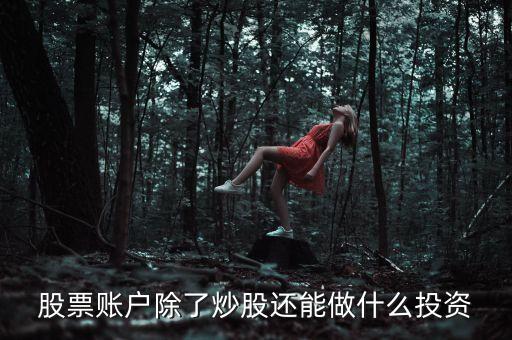 除了炒股還能做什么，除了炒股票家做什么項(xiàng)目