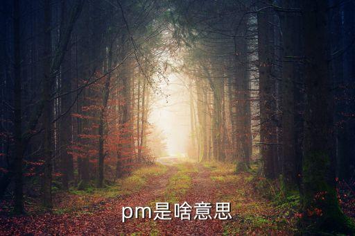 市場部pm什么意思，pm是啥意思