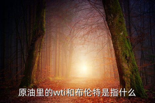 nymex輕質低硫原油為什么又叫wti，wti的輕質原油