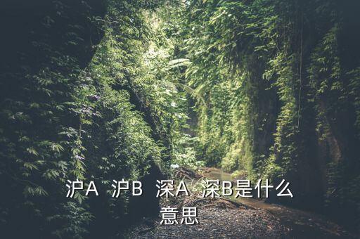 深證b指是什么意思，深證B指和成份B指