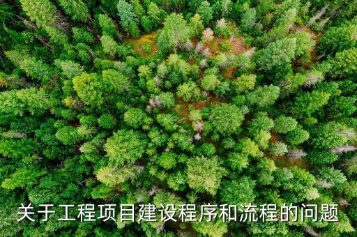 關(guān)于工程項(xiàng)目建設(shè)程序和流程的問(wèn)題