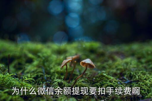 為什么微信提現(xiàn)要手續(xù)費(fèi)，微信提現(xiàn)為什么要手續(xù)費(fèi)