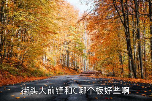 街頭大前鋒和C哪個(gè)板好些啊