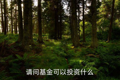 請(qǐng)問(wèn)基金可以投資什么