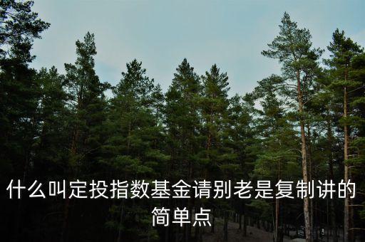 什么叫定投指數(shù)基金請別老是復(fù)制講的簡單點(diǎn)