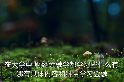 在大學中 財經金融學都學習些什么有哪有具體內容和科目學習金融