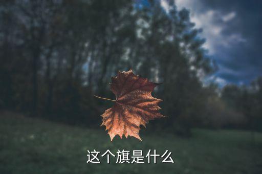 601718旗是什么，7月1日是什么旗