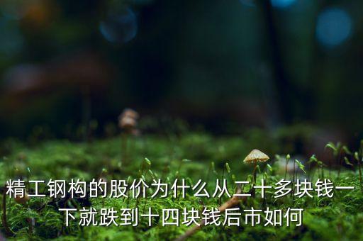 精工鋼構(gòu)什么時(shí)候送股，精工鋼構(gòu)的股價(jià)為什么從二十多塊錢一下就跌到十四塊錢后市如何