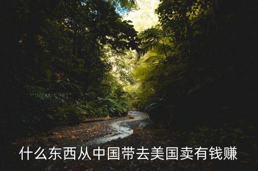 中國(guó)賣什么到國(guó)外賺錢，什么東西從中國(guó)帶去美國(guó)賣有錢賺