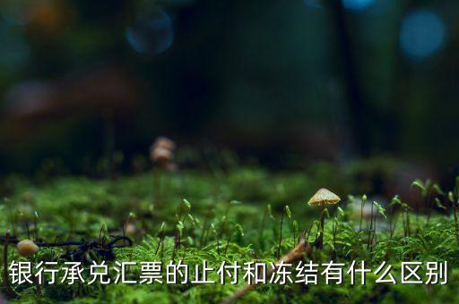 凍結(jié)止付什么意思，銀行承兌匯票的止付和凍結(jié)有什么區(qū)別