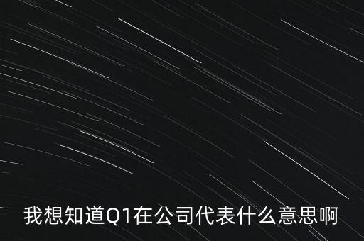 什么叫q2財報，我想知道Q1在公司代表什么意思啊