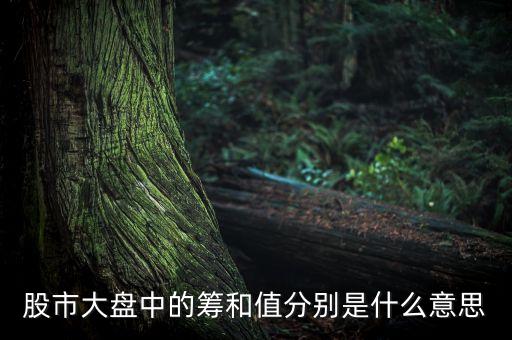 個股盤出現(xiàn)有籌是什么意思，股市大盤中的籌和值分別是什么意思