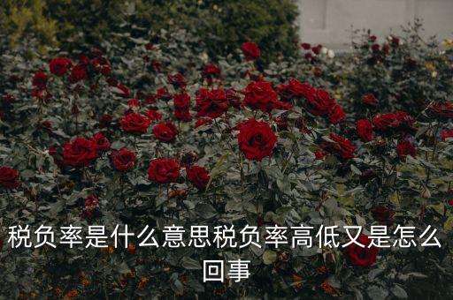 稅負率是什么意思稅負率高低又是怎么回事