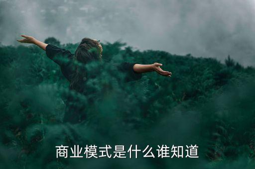 商業(yè)模式是什么誰知道