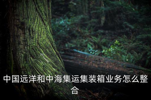 中國遠洋和中海集運集裝箱業(yè)務怎么整合