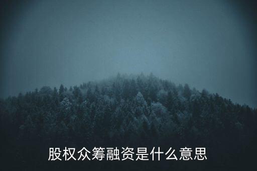 股權眾籌融資是什么意思