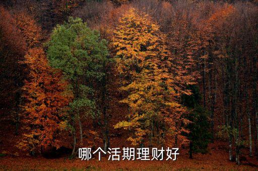 哪個活期理財好