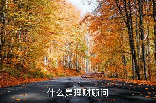 什么叫理財(cái)顧問(wèn)，什么是理財(cái)顧問(wèn)