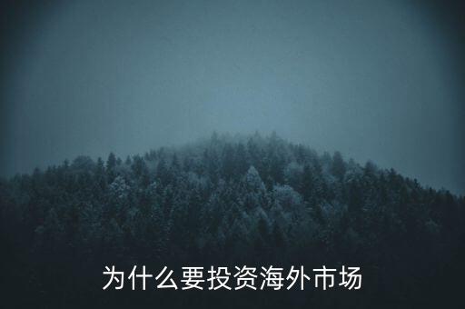 為什么要投資海外市場(chǎng)