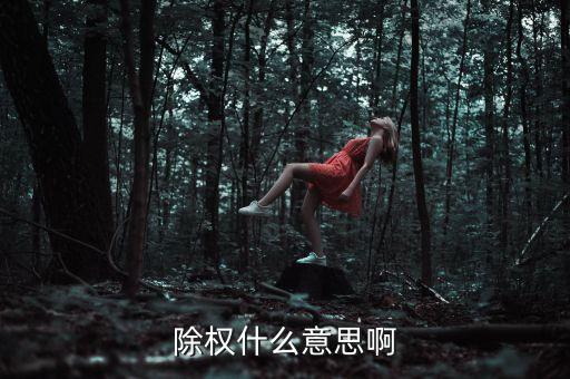 來茵生物除權(quán)是什么意思，除權(quán)什么意思啊