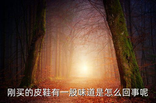 股市柚子什么含義，剛買的皮鞋有一股味道是怎么回事呢