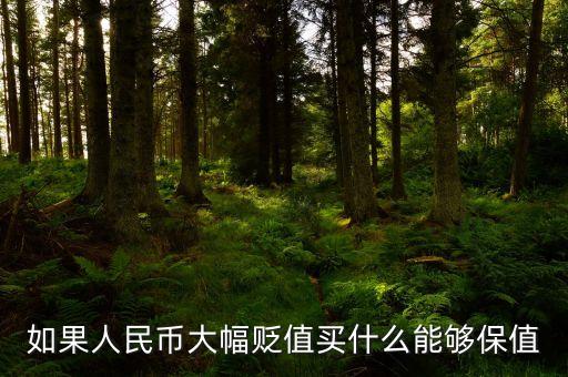錢貶值買什么，人民幣貶值買什么好
